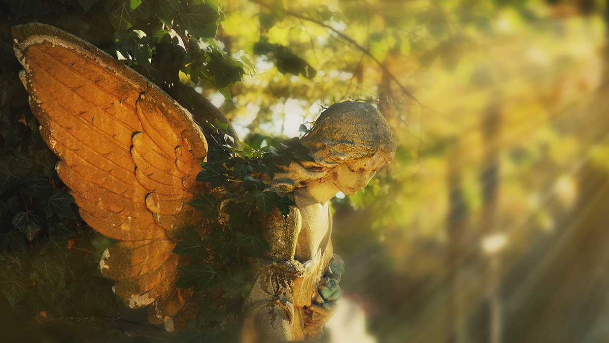 Brands Have Power to Bring the Grieving Back to Life