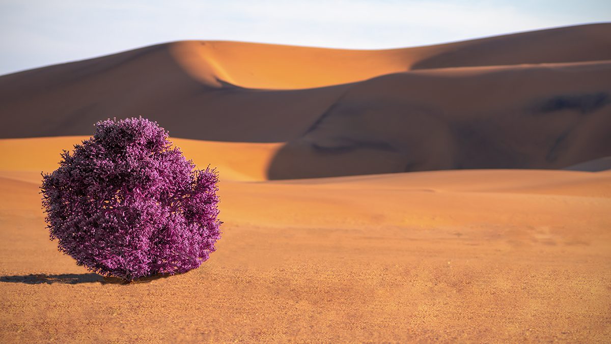 For Leading Brands, Discomfort Is an Economic Imperative