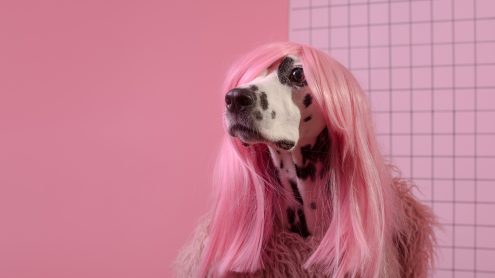 Branded Sentiments: ABSURDGASM—When Nonsense Branding Hits Right