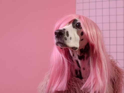 Branded Sentiments: ABSURDGASM—When Nonsense Branding Hits Right