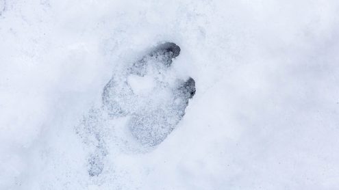 There’s No Digital Marketing Strategy Without an About Page