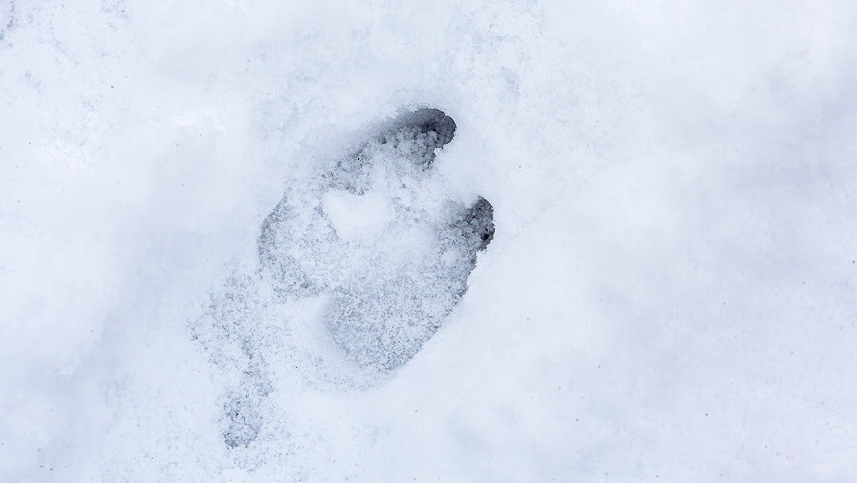 There’s No Digital Marketing Strategy Without an About Page